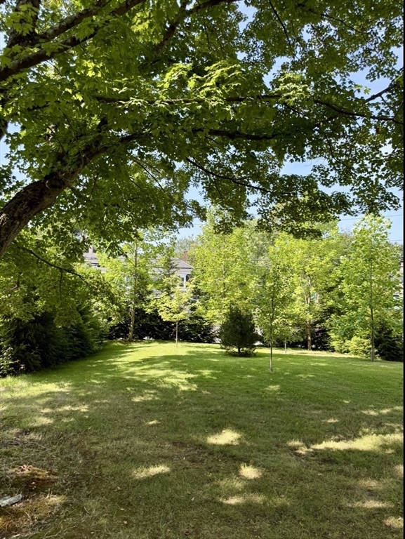 297 Providence Road Grafton, MA 01560 - Photo 31 of 38