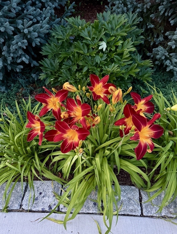 297 Providence Road Grafton, MA 01560 - Photo 34 of 38