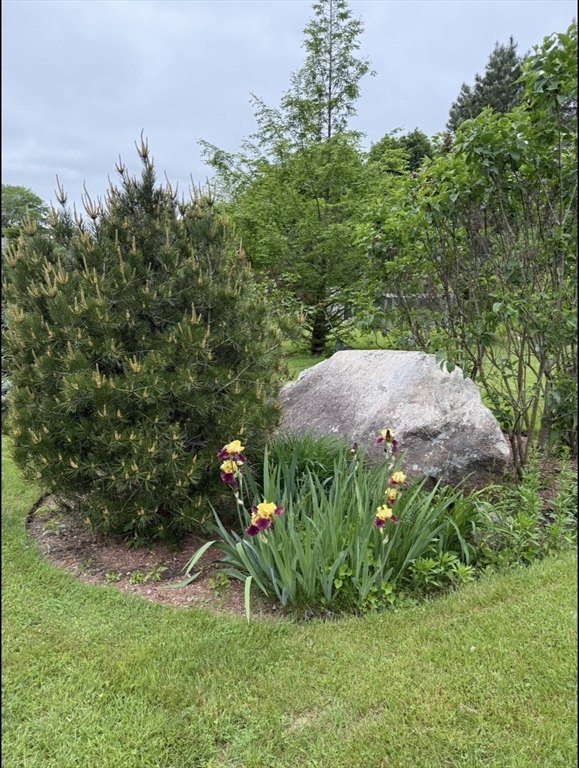 297 Providence Road Grafton, MA 01560 - Photo 35 of 38