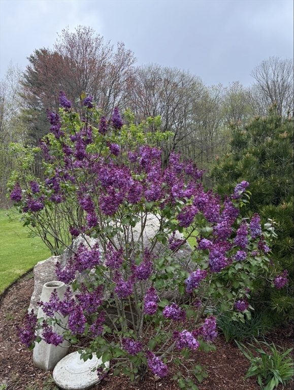 297 Providence Road Grafton, MA 01560 - Photo 36 of 38