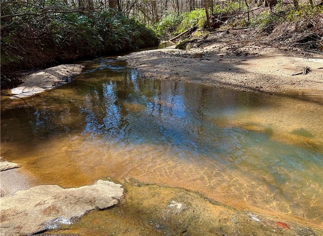 0 Smith McGee Road Iva, SC 29655 - Photo 5 of 10 This tranquil creek flows through a natural landscape, offering a serene waterside experience.