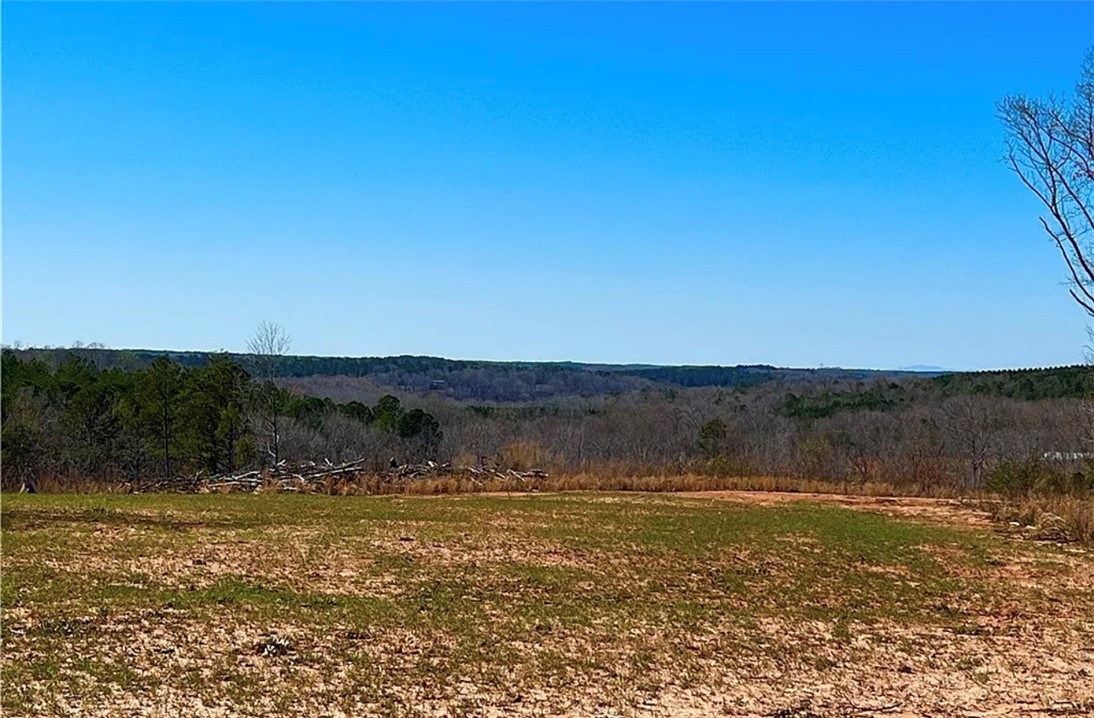 0 Smith McGee Road Iva, SC 29655 - Photo 6 of 10 Expansive pastoral views await on this picturesque undeveloped lot.