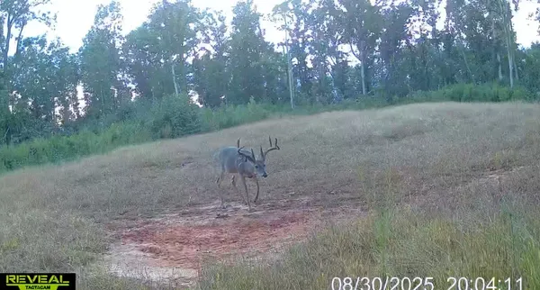 $1,330,000 | 0 Smith McGee Road, Iva, SC 29655