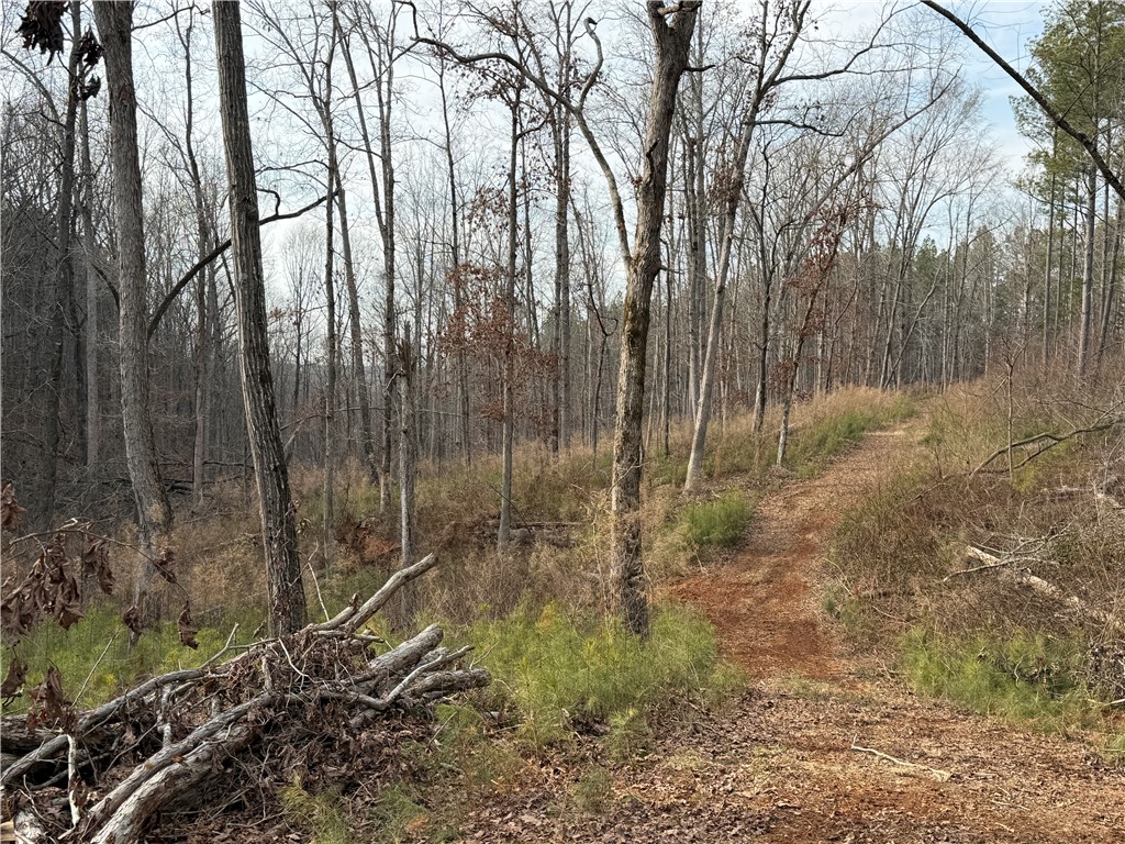 0 Smith McGee Road Iva, SC 29655 - Photo 10 of 10 A natural forest path winds through a serene, wooded landscape.