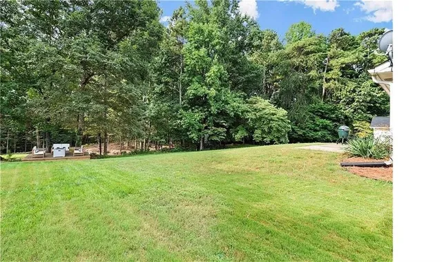 a view of a tree in a yard