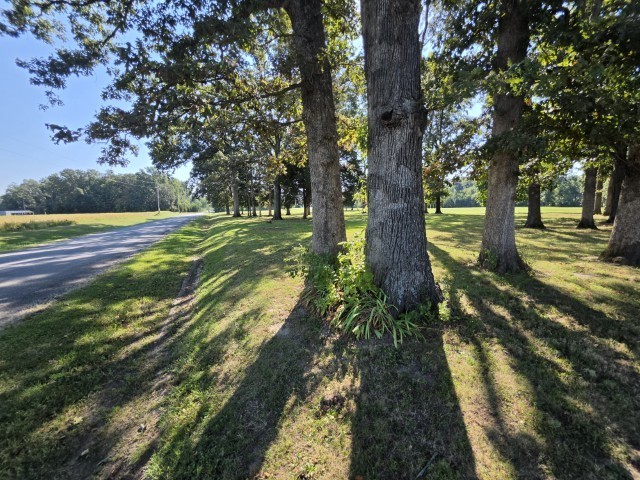 0 East Redwood Road Mount Vernon, IL 62864 - Photo 12 of 20 Gallery Image 12