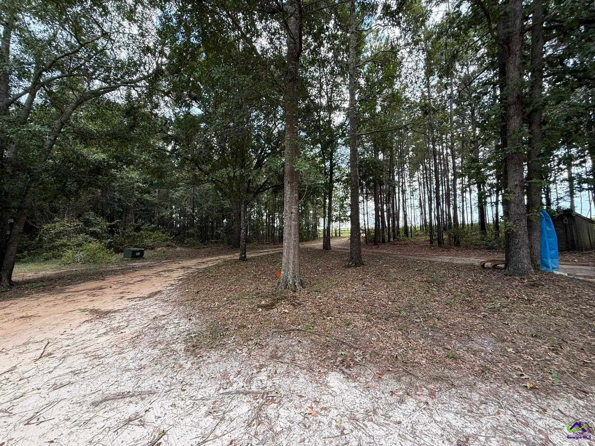 124 North County Line Road Unadilla, GA 31091 - Photo 35 of 49 Gallery Image 35