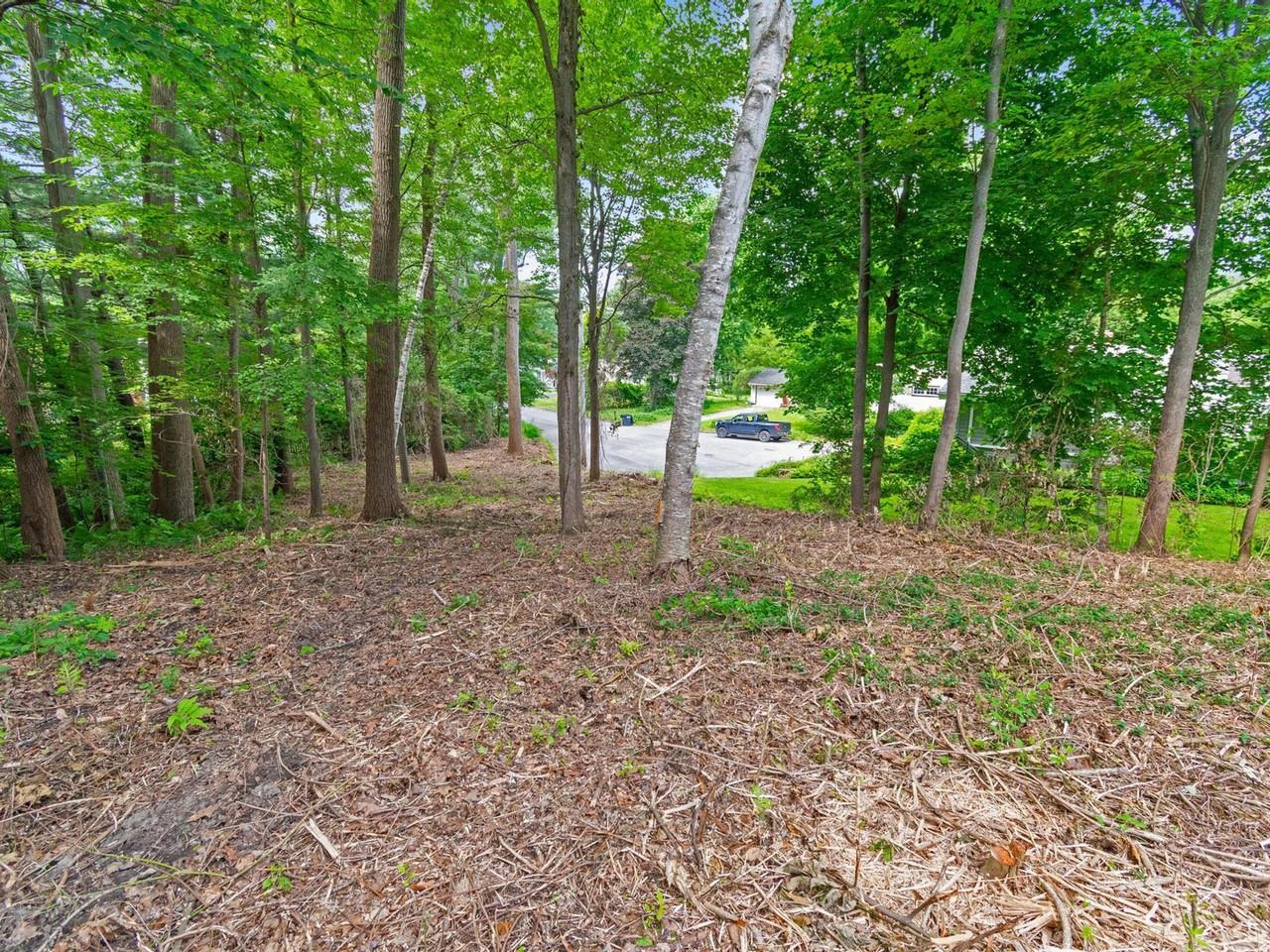 89 Chestnut Terrace Burlington, VT 05401 - Photo 6 of 12