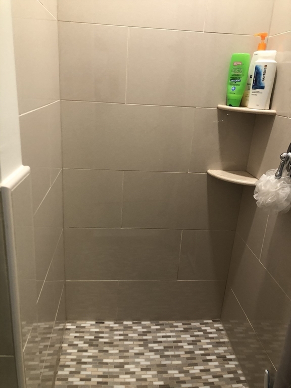 15 Sycamore Road Wakefield, MA 01880 - Photo 26 of 39 a bathroom with a shower