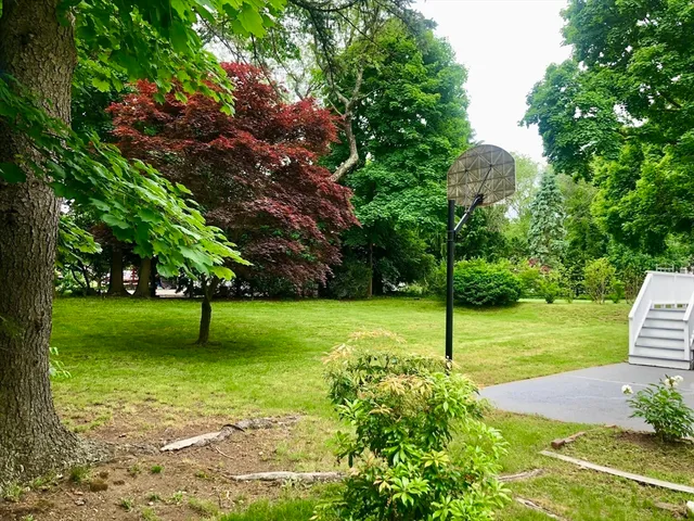 a view of a garden with a tree