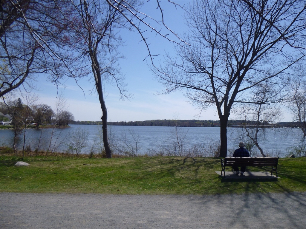 15 Sycamore Road Wakefield, MA 01880 - Photo 37 of 39 a view of a backyard with wooden fence