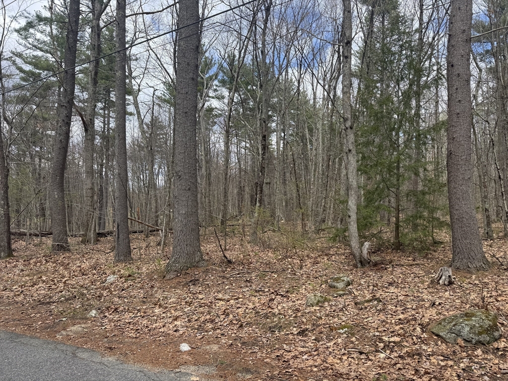 Lot 3 Murphy Road Barre, MA 01005 - Photo 4 of 9