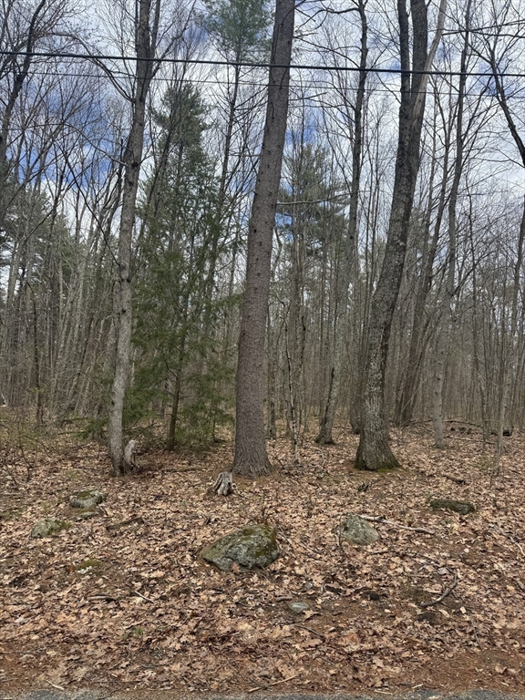 Lot 3 Murphy Road Barre, MA 01005 - Photo 7 of 9