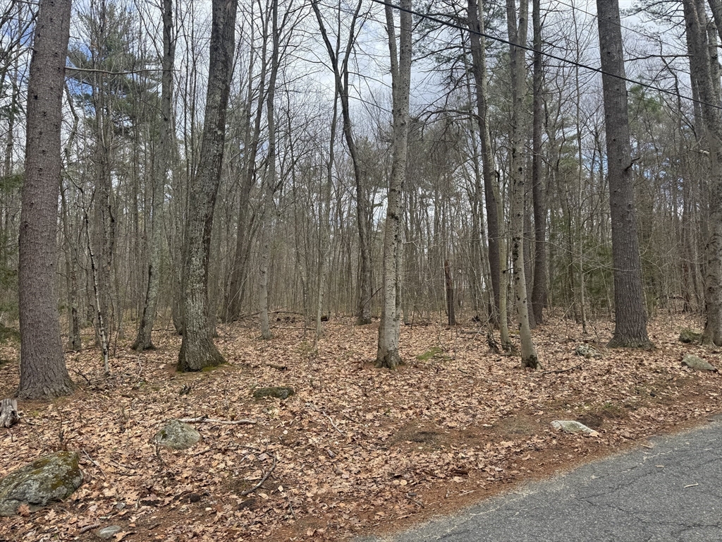 Lot 3 Murphy Road Barre, MA 01005 - Photo 8 of 9