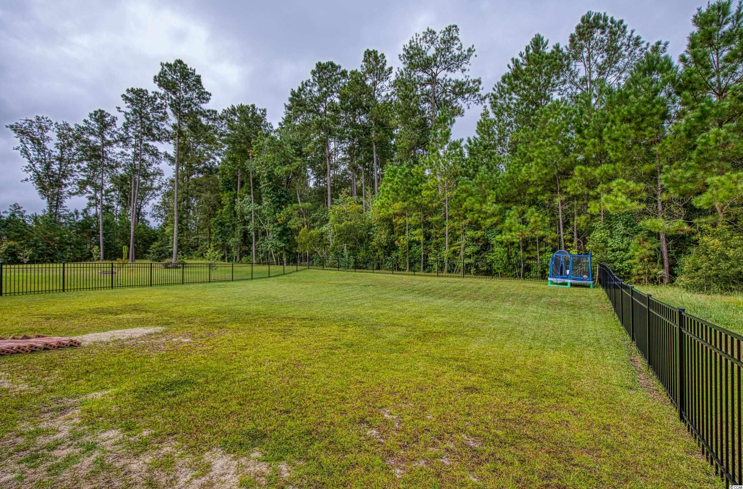 150 Winding Path Drive Loris, SC 29569 - Photo 30 of 39 Gallery Image 30