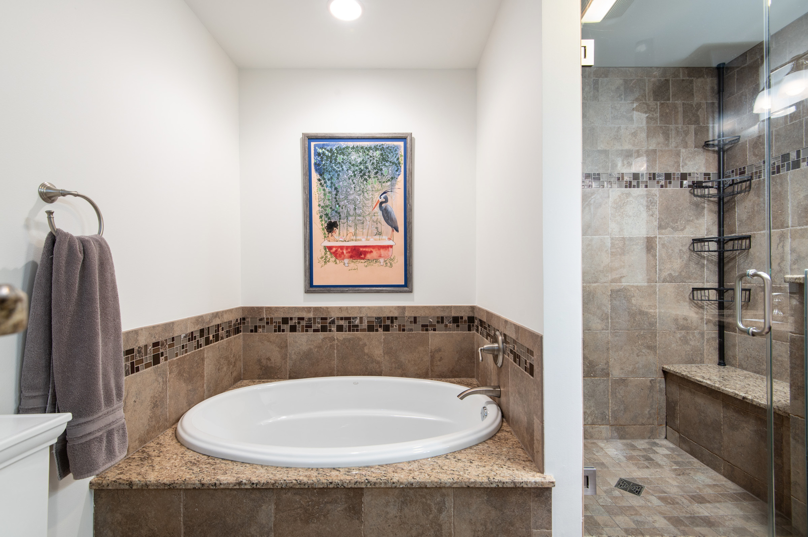 13530 South Monaghan Road Homer Glen, IL 60491 - Photo 24 of 45 a bathroom with a granite countertop bathtub and shower