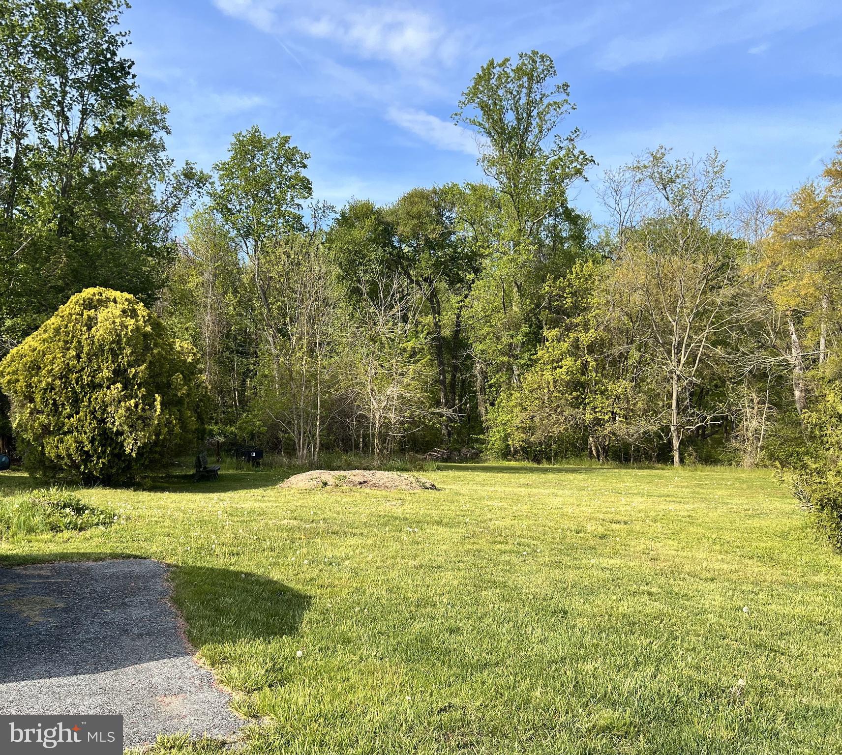 751 Twin Willows Road Smyrna, DE 19977 - Photo 3 of 14 Side/Back Yard