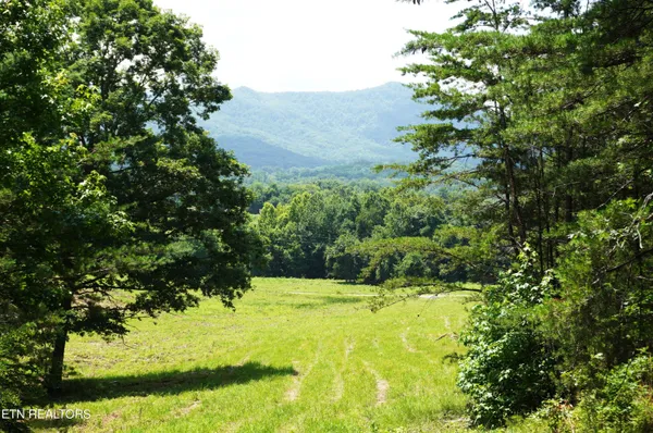 $525,000 | 0 Rhyne Camp Road, Newport, TN 37821