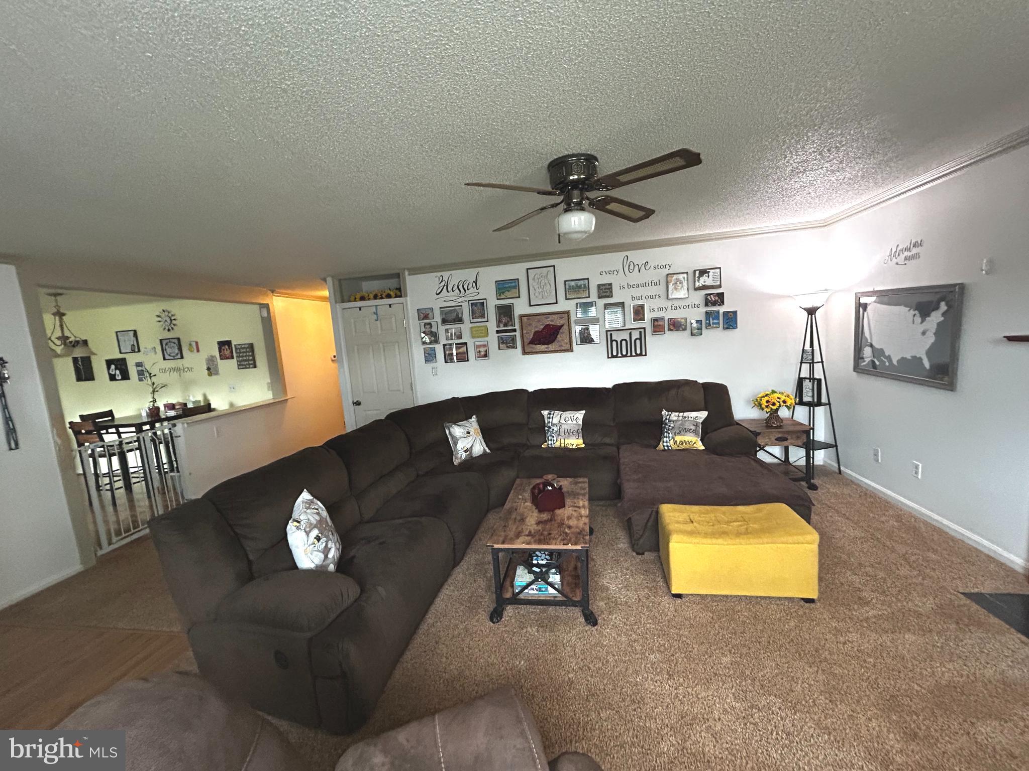 1409 Thomas Way Culpeper, VA 22701 - Photo 4 of 41