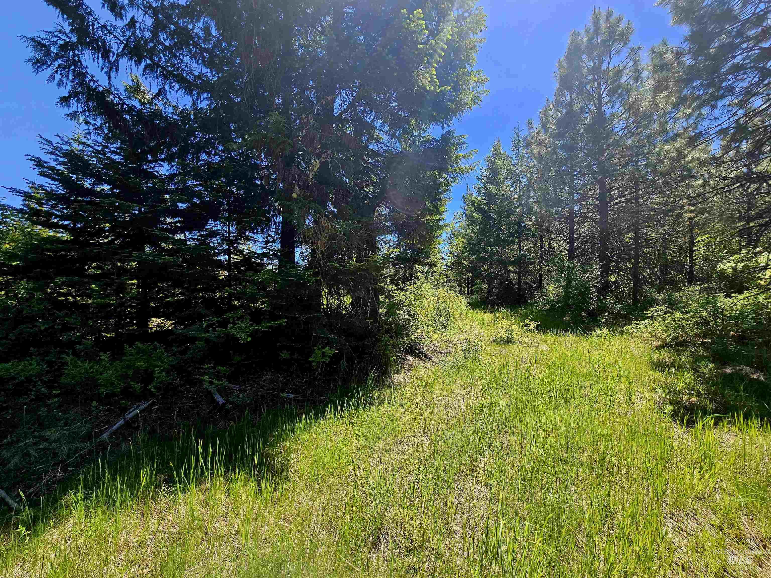 0 Timberline Heights Weippe, ID 83553 - Photo 16 of 17