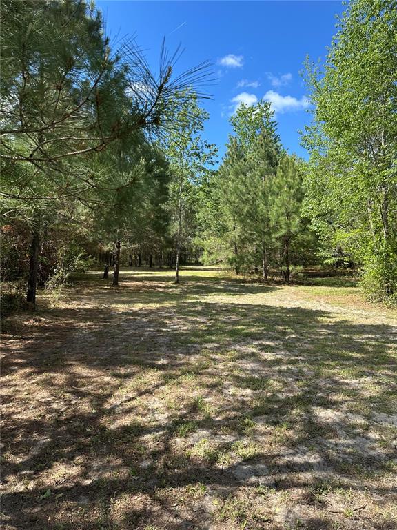 1449 Southeast October Road Lake City, FL 32025 - Photo 1 of 1