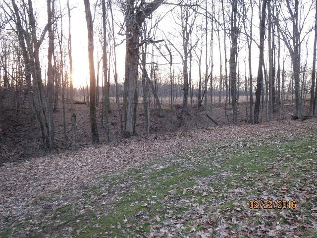 0 Burns Road Amanda, OH 43102 - Photo 3 of 6