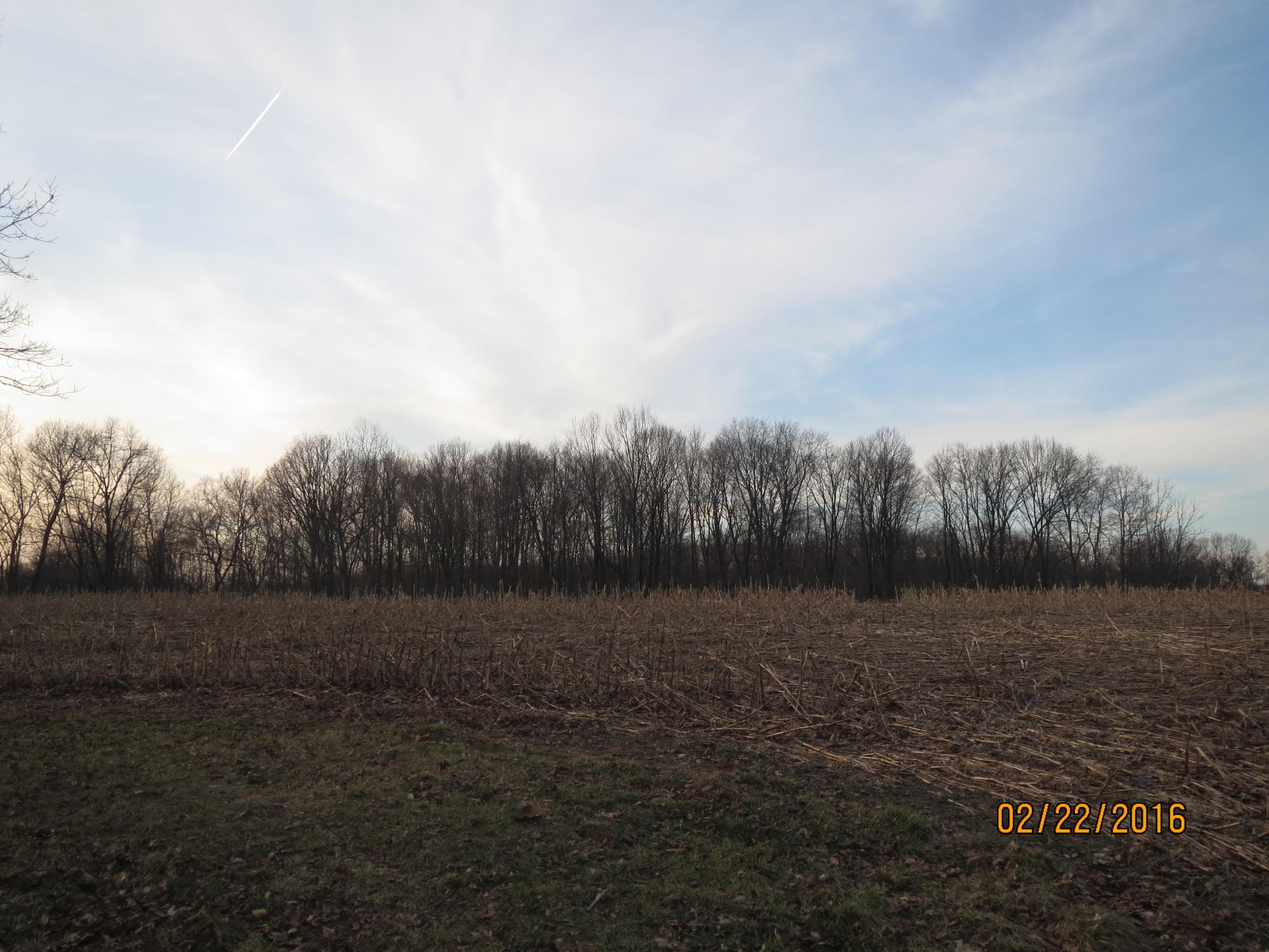 0 Burns Road Amanda, OH 43102 - Photo 4 of 6
