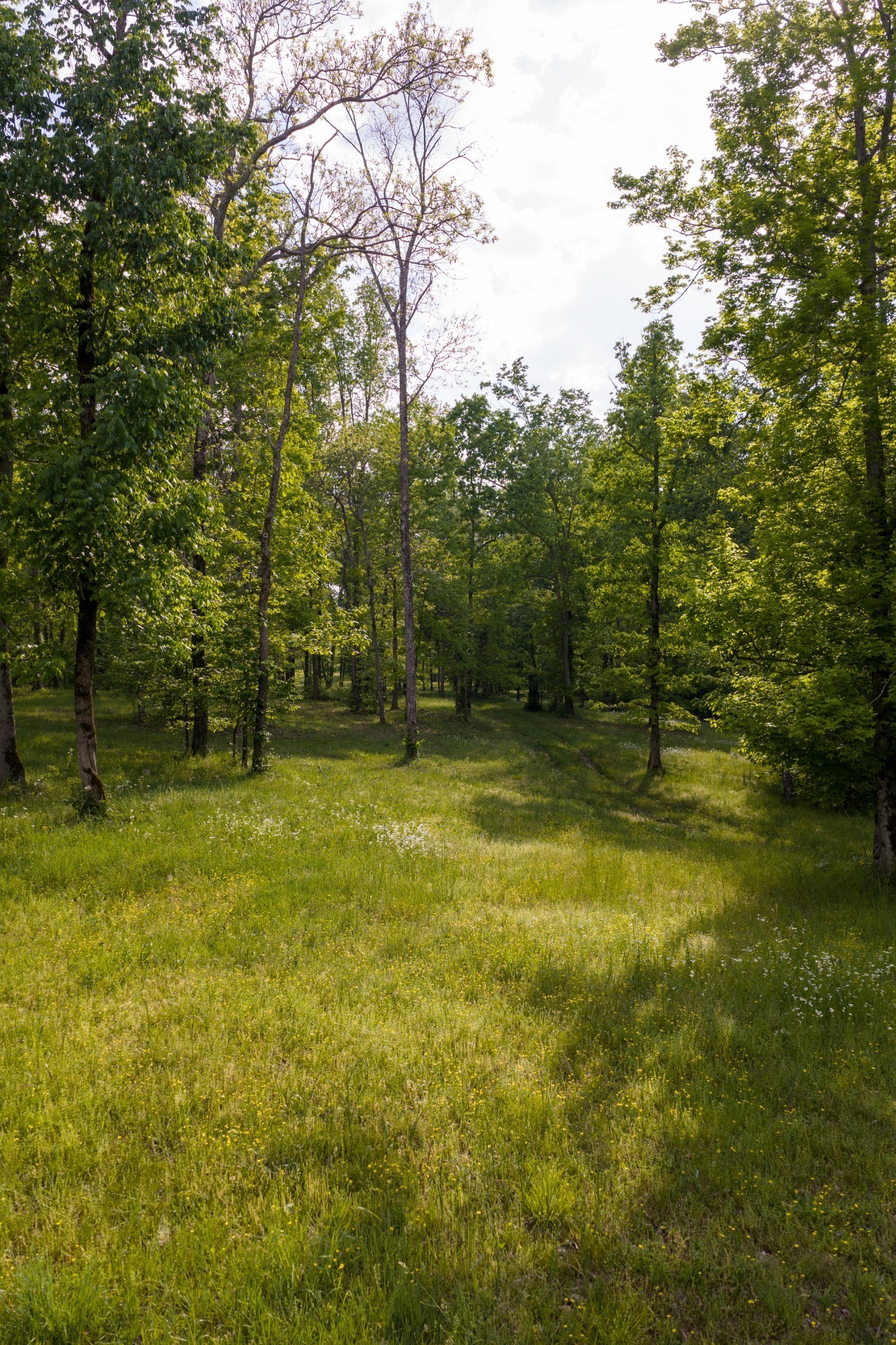 6415 Pinewood Road Nunnelly, TN 37137 - Photo 18 of 94 Gallery Image 18