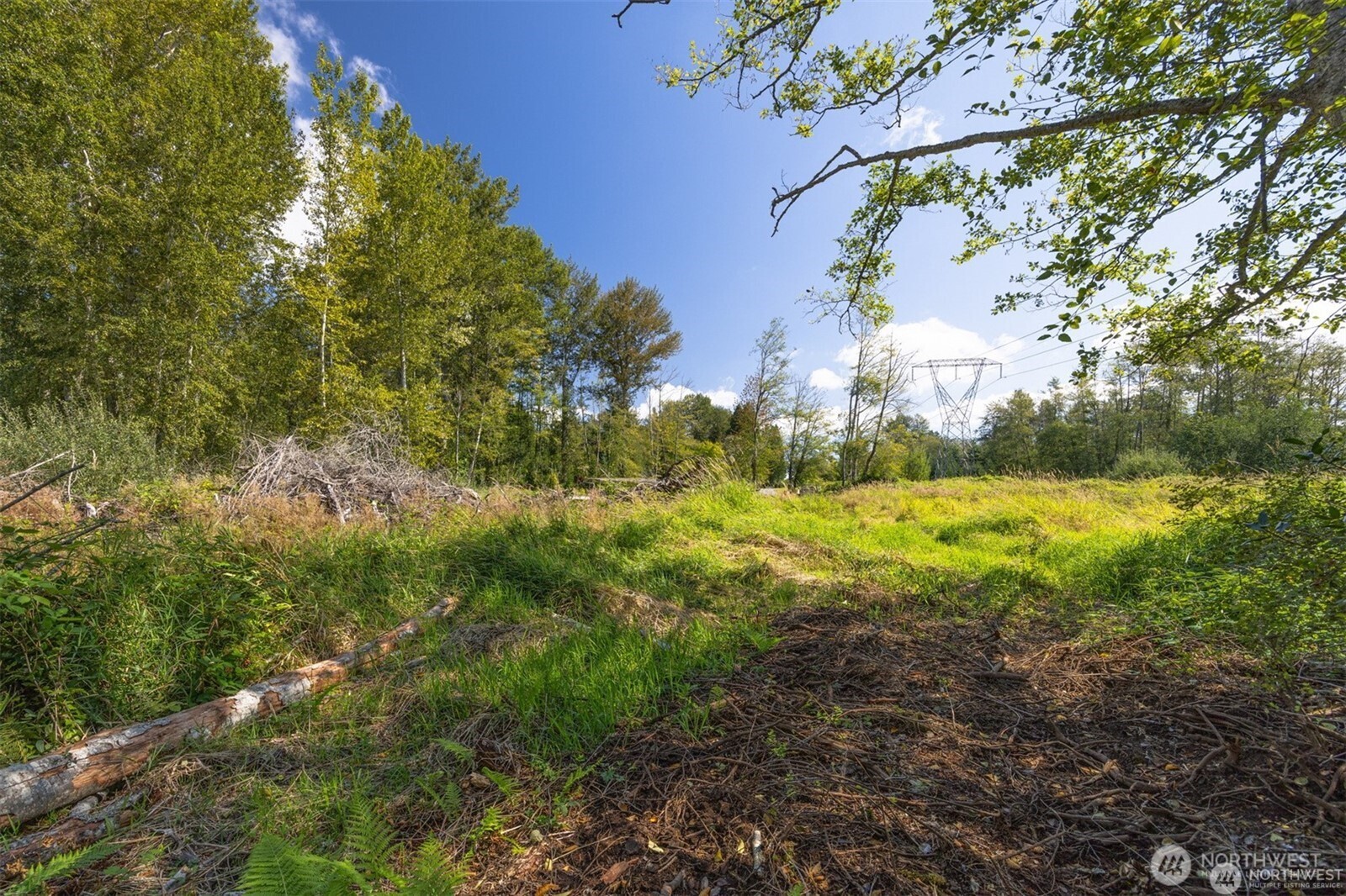 -xxx Brown Road Ferndale, WA 98248 - Photo 14 of 20 a view of yard with green space