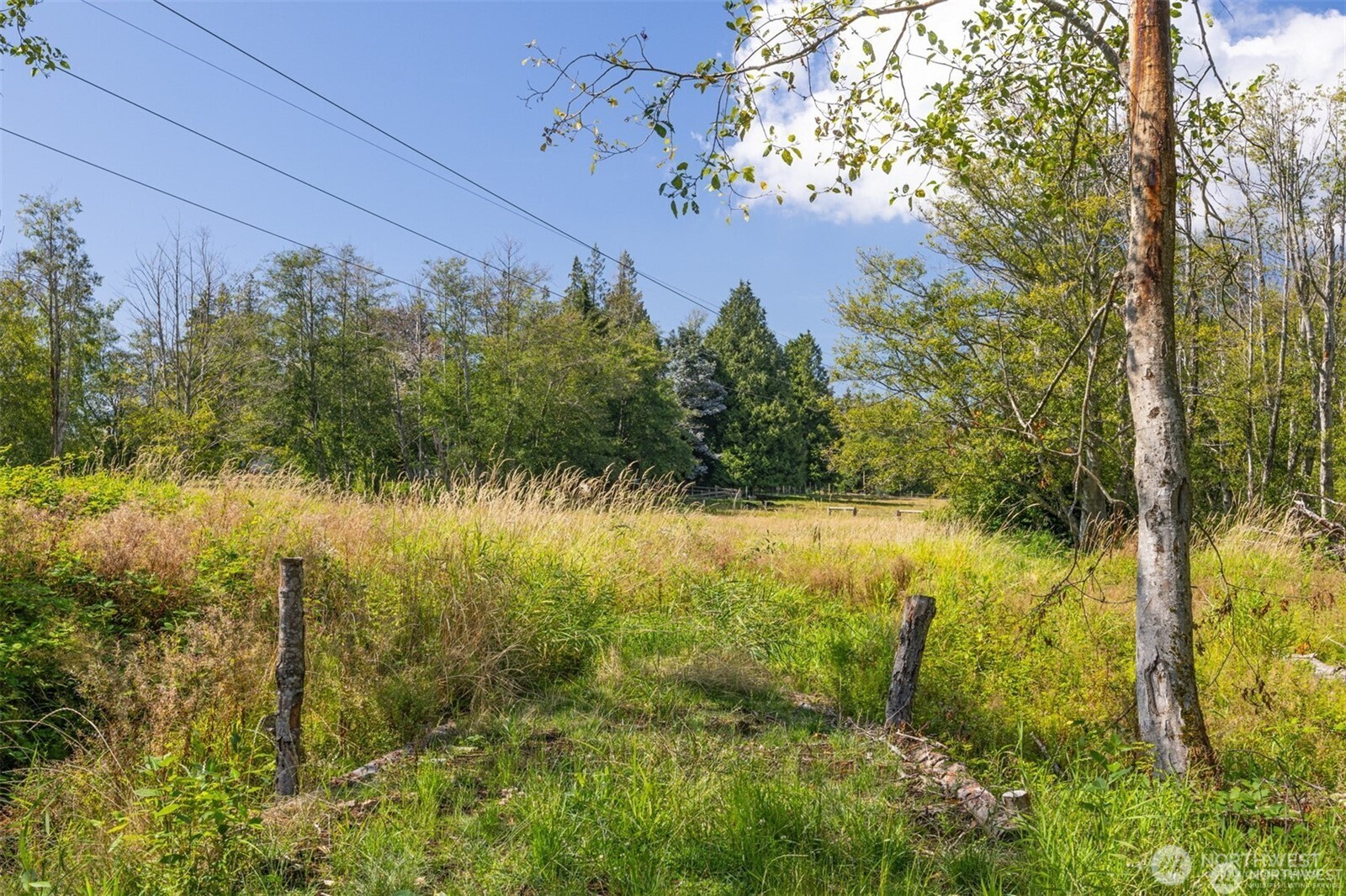 -xxx Brown Road Ferndale, WA 98248 - Photo 16 of 20