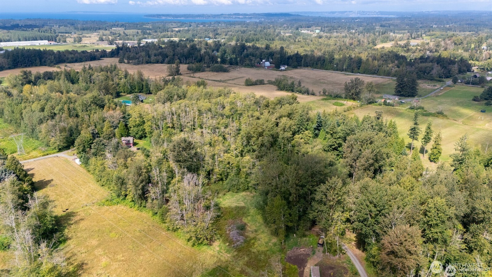 -xxx Brown Road Ferndale, WA 98248 - Photo 18 of 20 an aerial view of residential house with green space