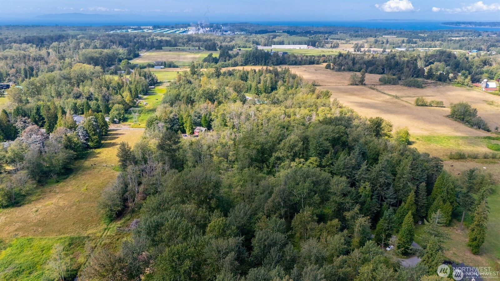 -xxx Brown Road Ferndale, WA 98248 - Photo 19 of 20 an aerial view of residential houses with outdoor space and trees