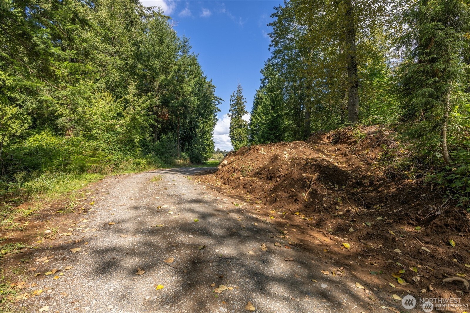 -xxx Brown Road Ferndale, WA 98248 - Photo 7 of 20 a view of a yard with plants and trees