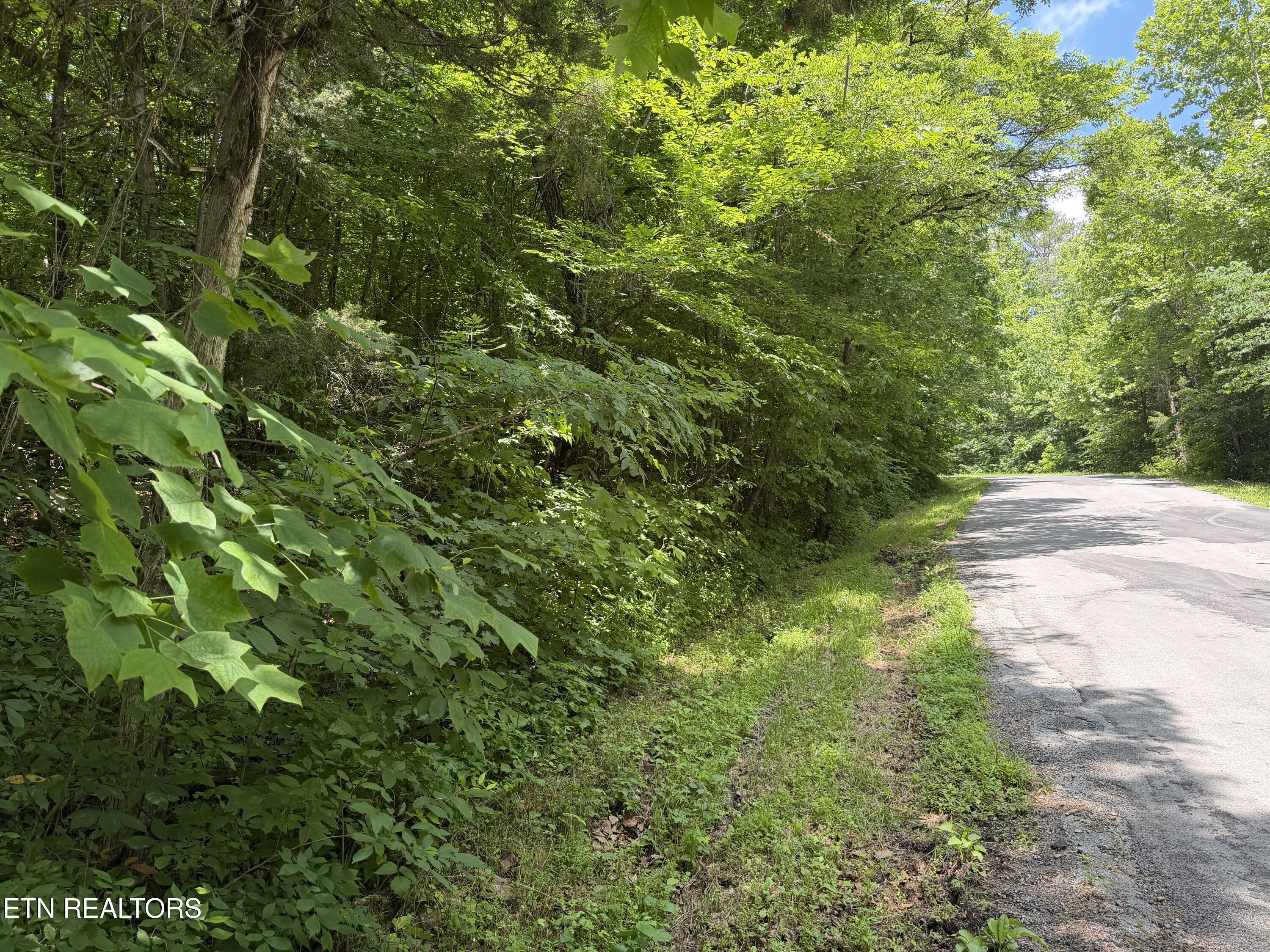 0 Mountain Shores Road New Tazewell, TN 37825 - Photo 8 of 8 IMG_3001 2