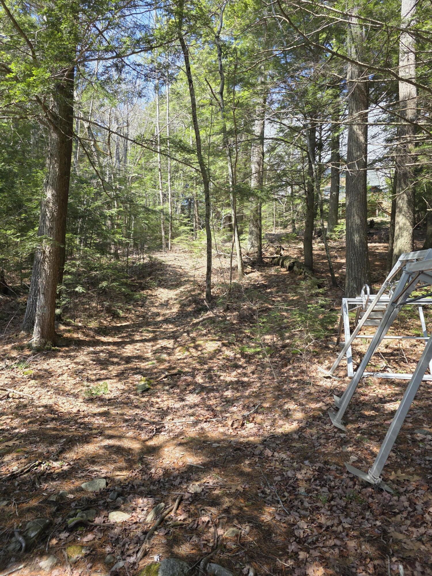 Lot 011-13 Benner Road Liberty, ME 04949 - Photo 12 of 17 20250417_123223