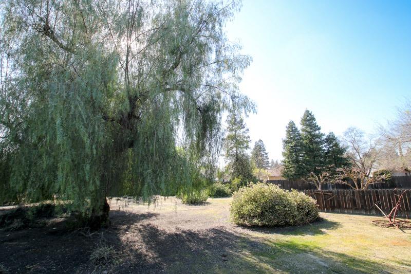 560 East Parlier Avenue Reedley, CA 93654 - Photo 68 of 77 Gallery Image 68