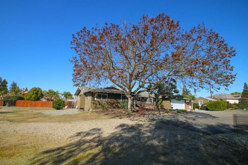 560 East Parlier Avenue Reedley, CA 93654 - Photo 70 of 77 Gallery Image 70