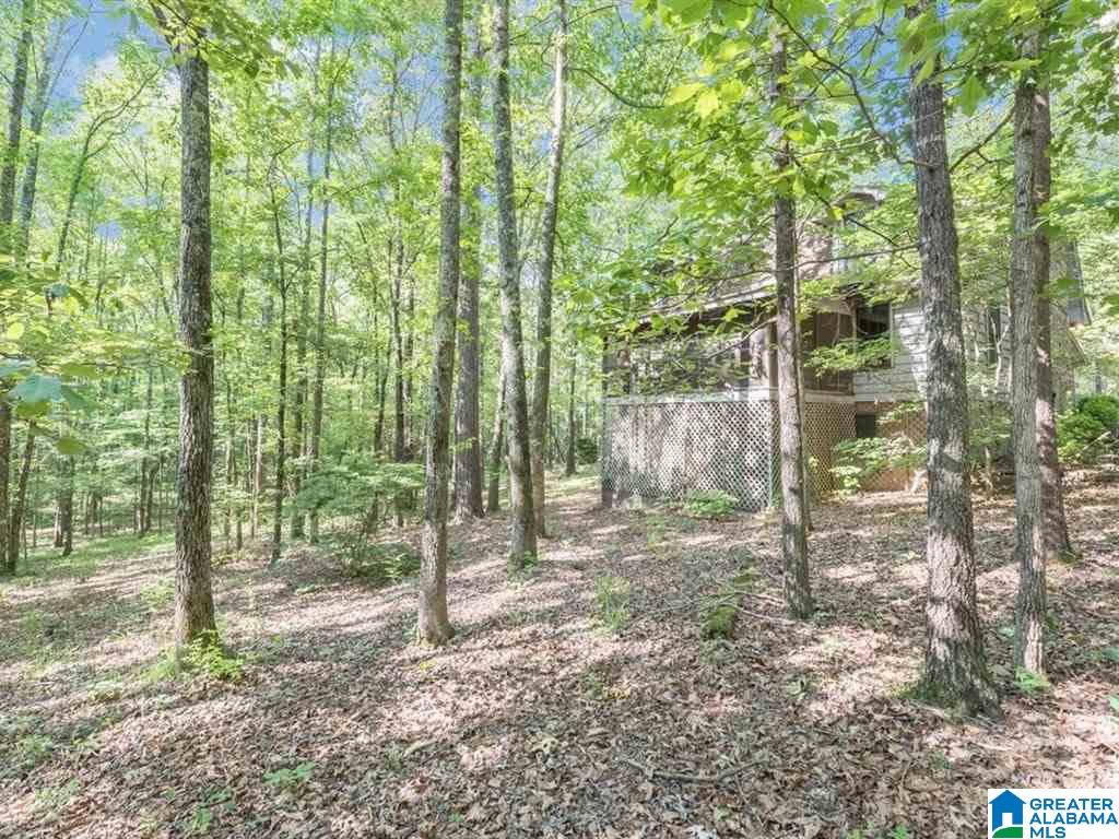 22461 Rosser Lane McCalla, AL 35111 - Photo 26 of 33