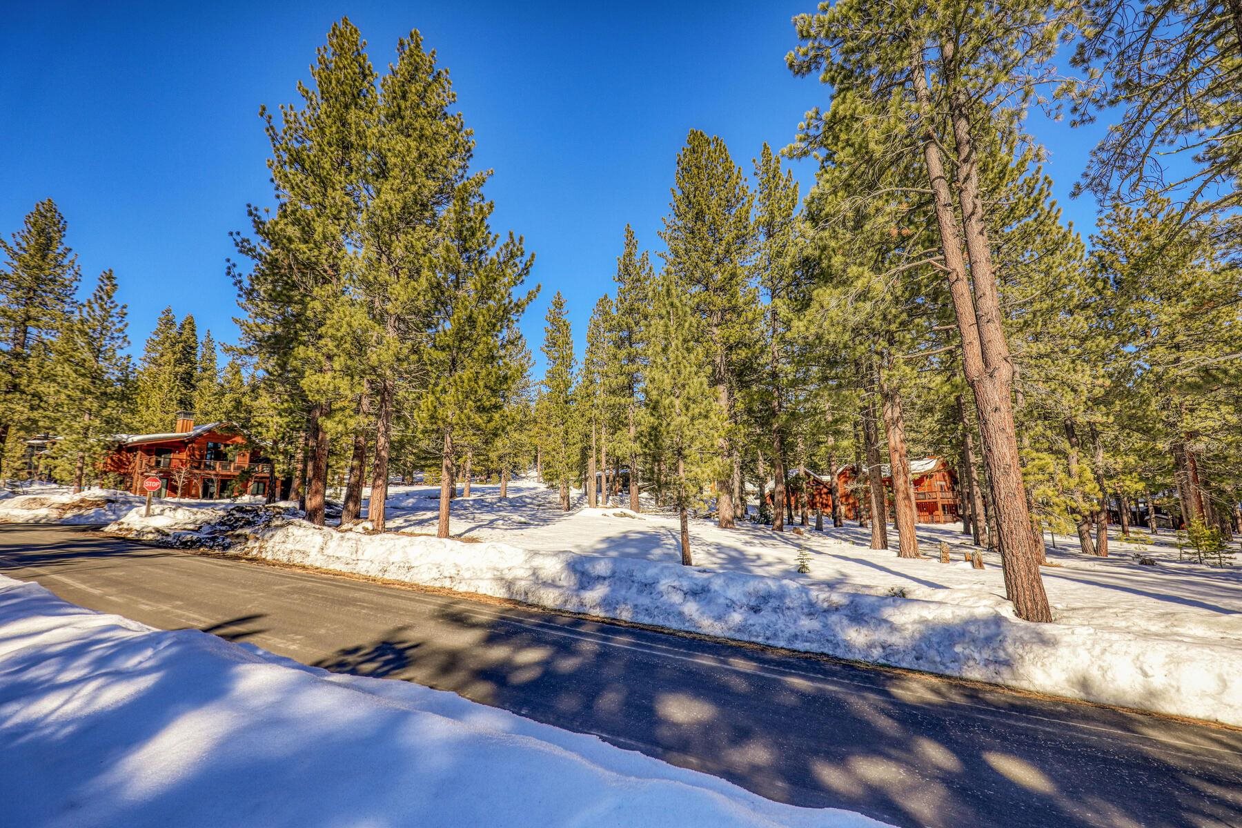 11651 Bottcher Loop Truckee, CA 96161 - Photo 11 of 17 a view of road with trees