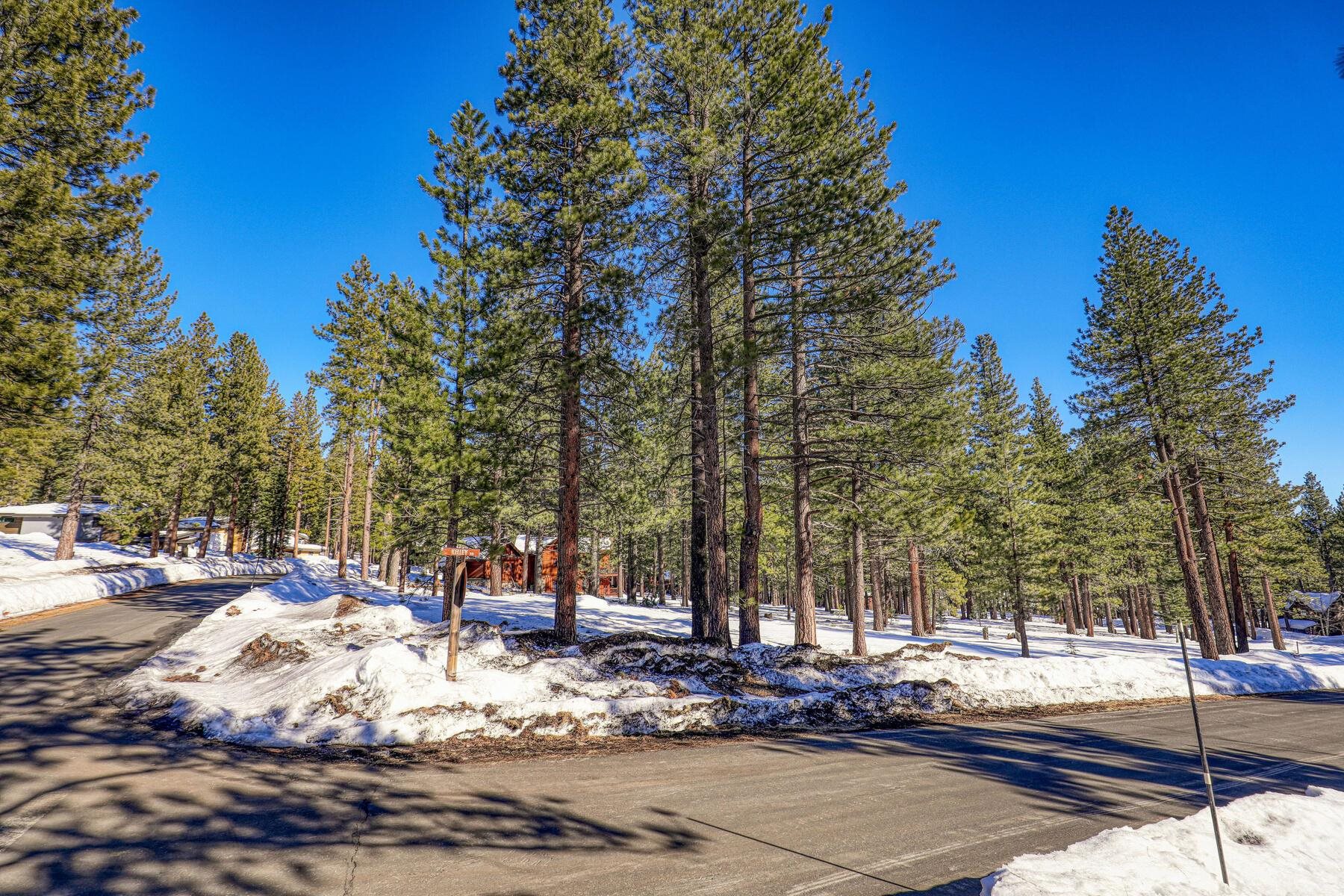 11651 Bottcher Loop Truckee, CA 96161 - Photo 13 of 17 a view of a park with trees and plants