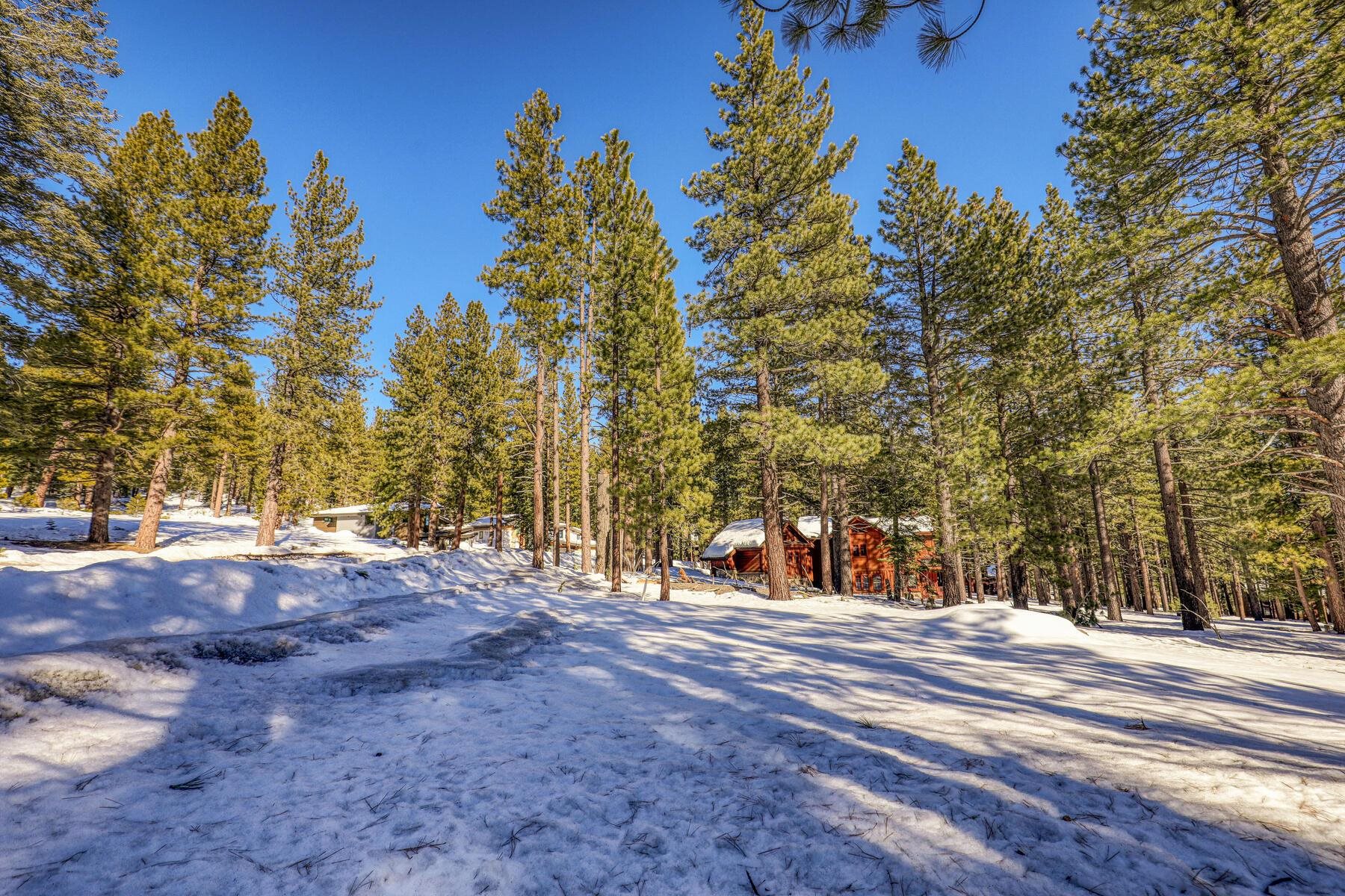 11651 Bottcher Loop Truckee, CA 96161 - Photo 14 of 17 a view of road with trees