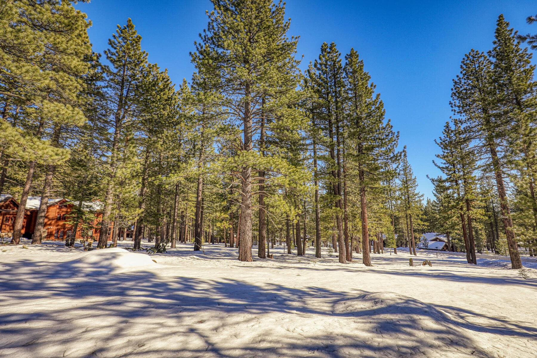 11651 Bottcher Loop Truckee, CA 96161 - Photo 15 of 17 a view of a city view