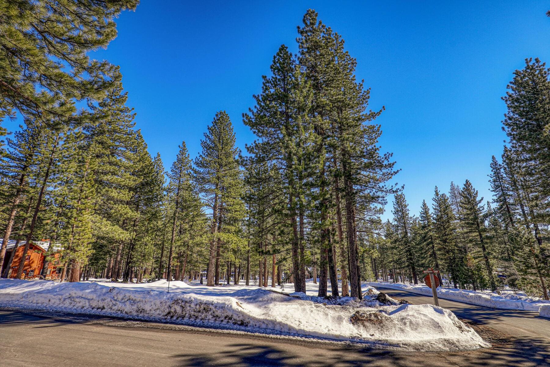 11651 Bottcher Loop Truckee, CA 96161 - Photo 2 of 17 a view of a swimming pool with trees