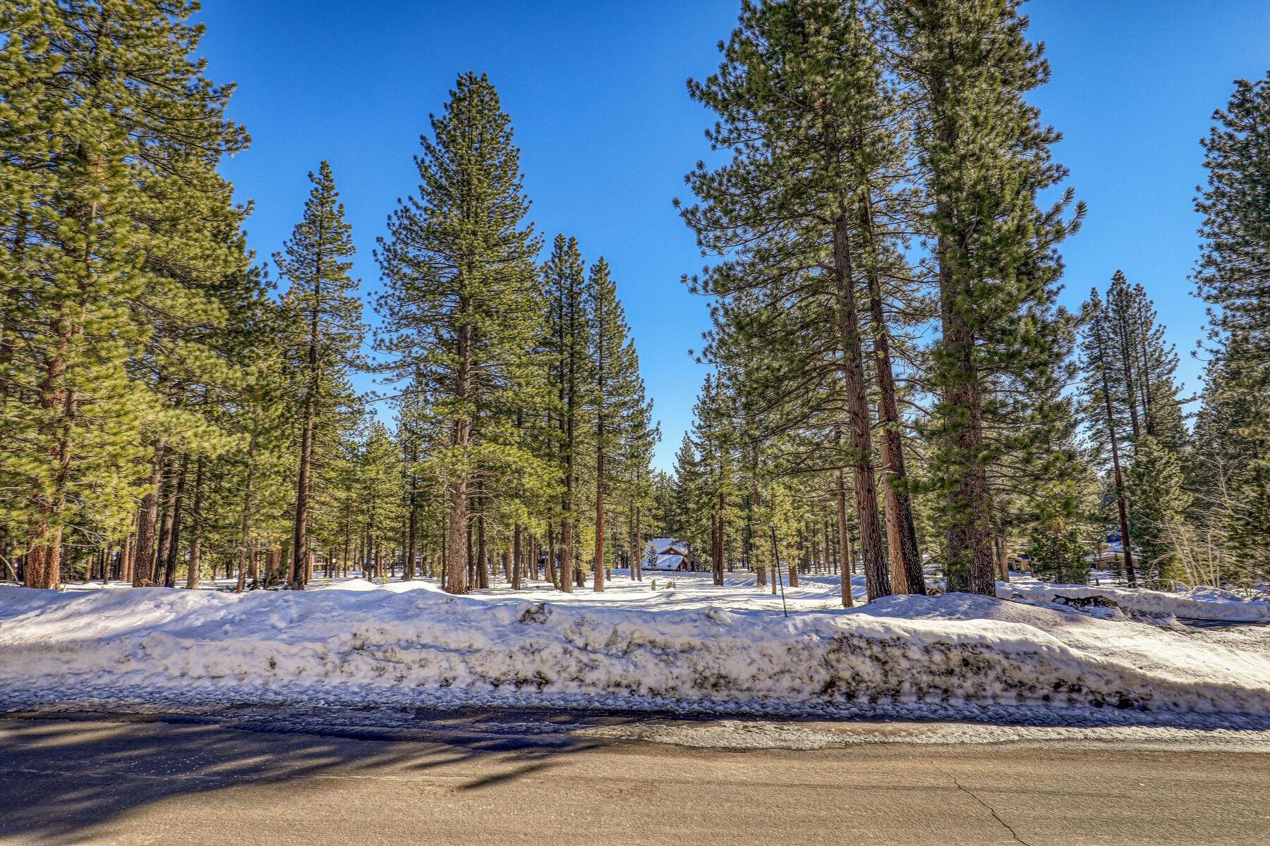 11651 Bottcher Loop Truckee, CA 96161 - Photo 4 of 17 a view of a house with trees in the background