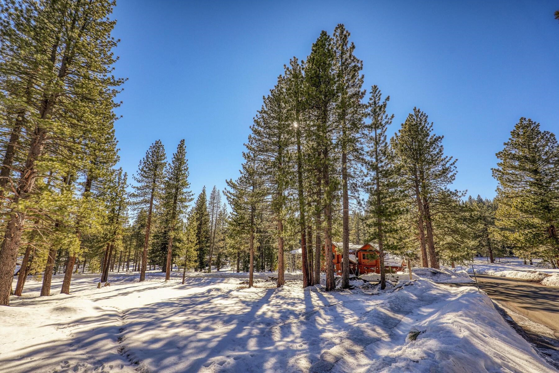 11651 Bottcher Loop Truckee, CA 96161 - Photo 5 of 17 a view of a park with large trees