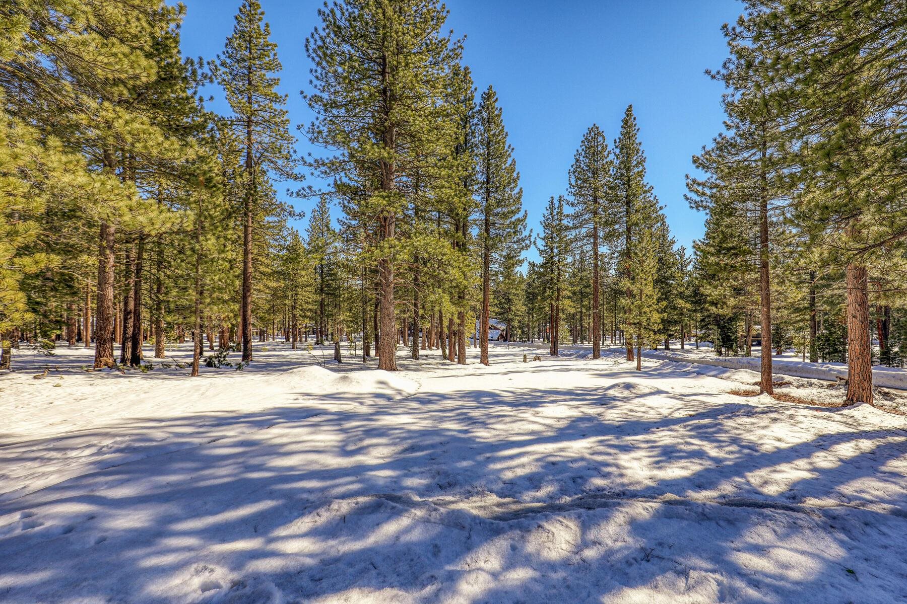 11651 Bottcher Loop Truckee, CA 96161 - Photo 6 of 17 a view of empty space with trees