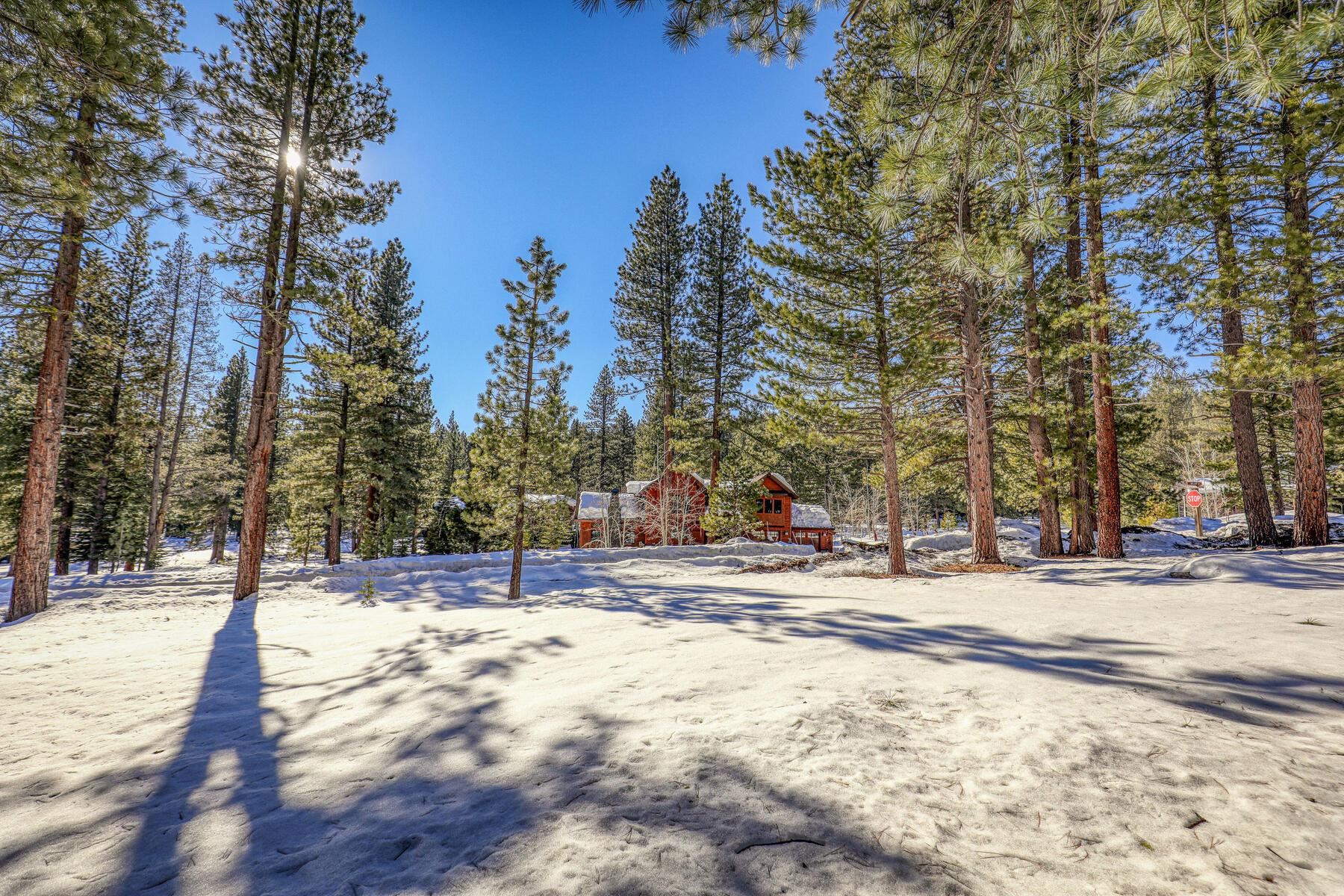 11651 Bottcher Loop Truckee, CA 96161 - Photo 8 of 17 a view of road and trees
