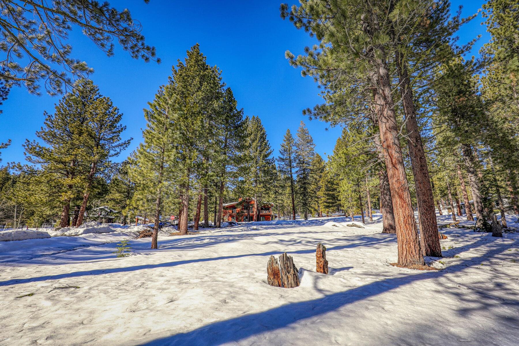 11651 Bottcher Loop Truckee, CA 96161 - Photo 9 of 17 a park view with large trees