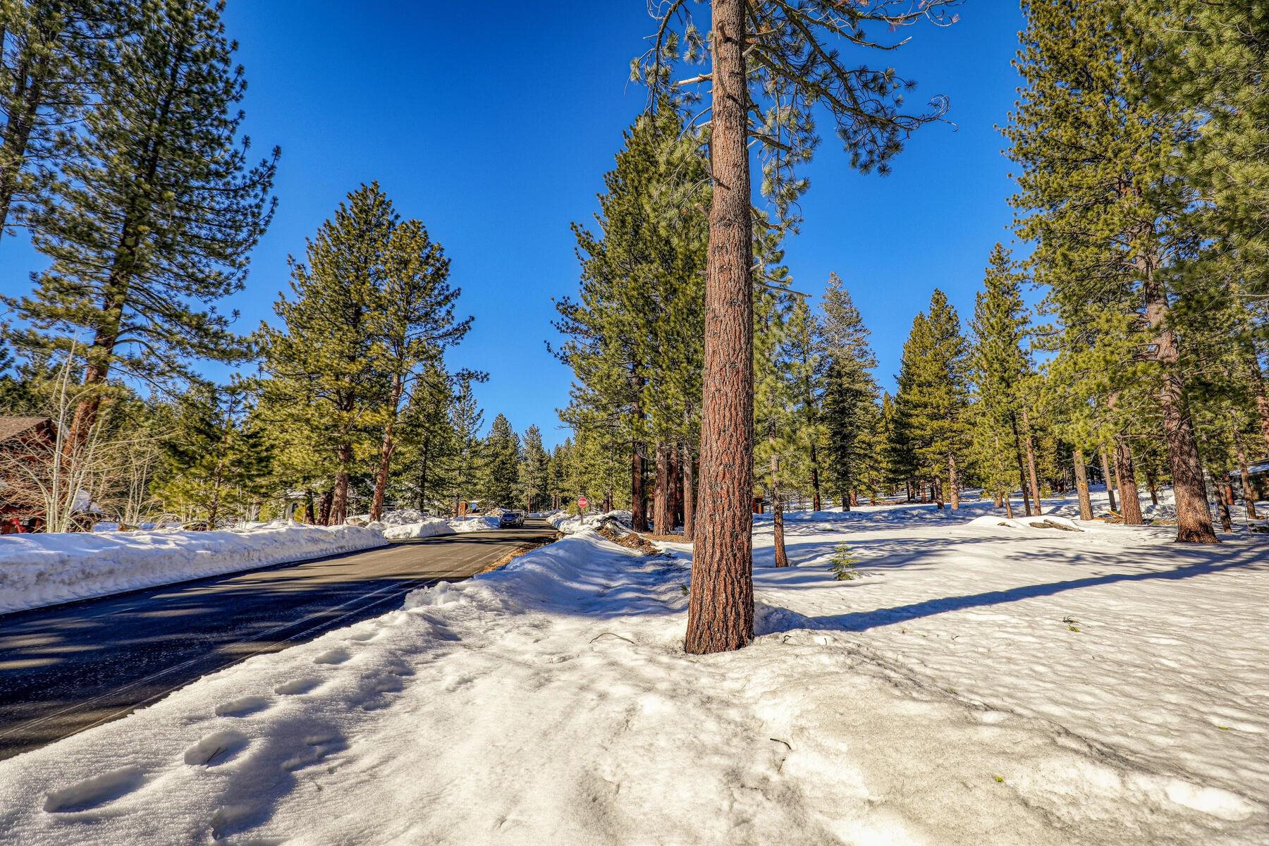 11651 Bottcher Loop Truckee, CA 96161 - Photo 10 of 17 a view of a yard in front of a house
