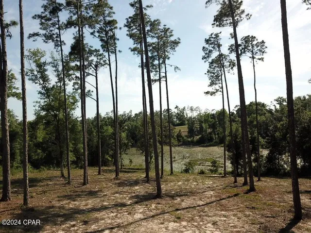 $32,900 | Tbd Vancouver Drive, Alford, FL 32420